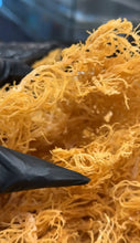 Load image into Gallery viewer, Irish Sea Moss Gel
