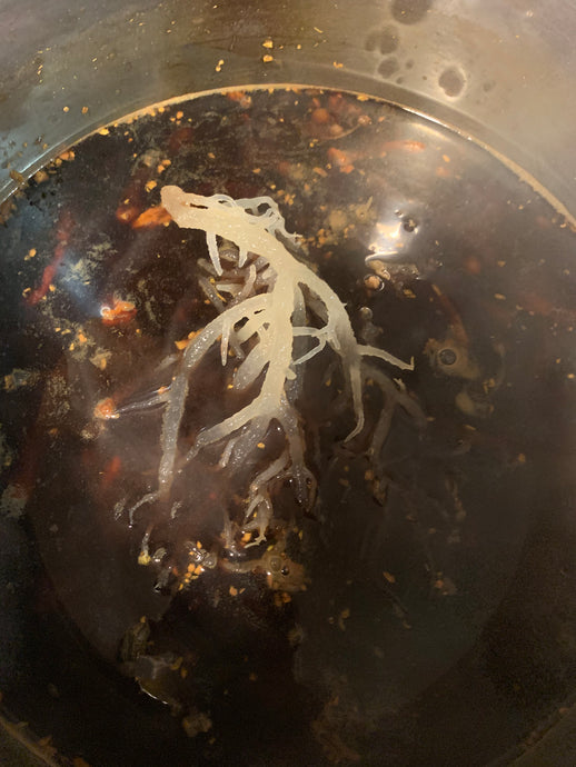 The herbs and spices will set for several hours before the straining process